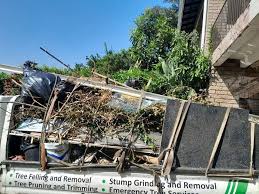 Best Hoarding Cleanup  in Paulding, OH